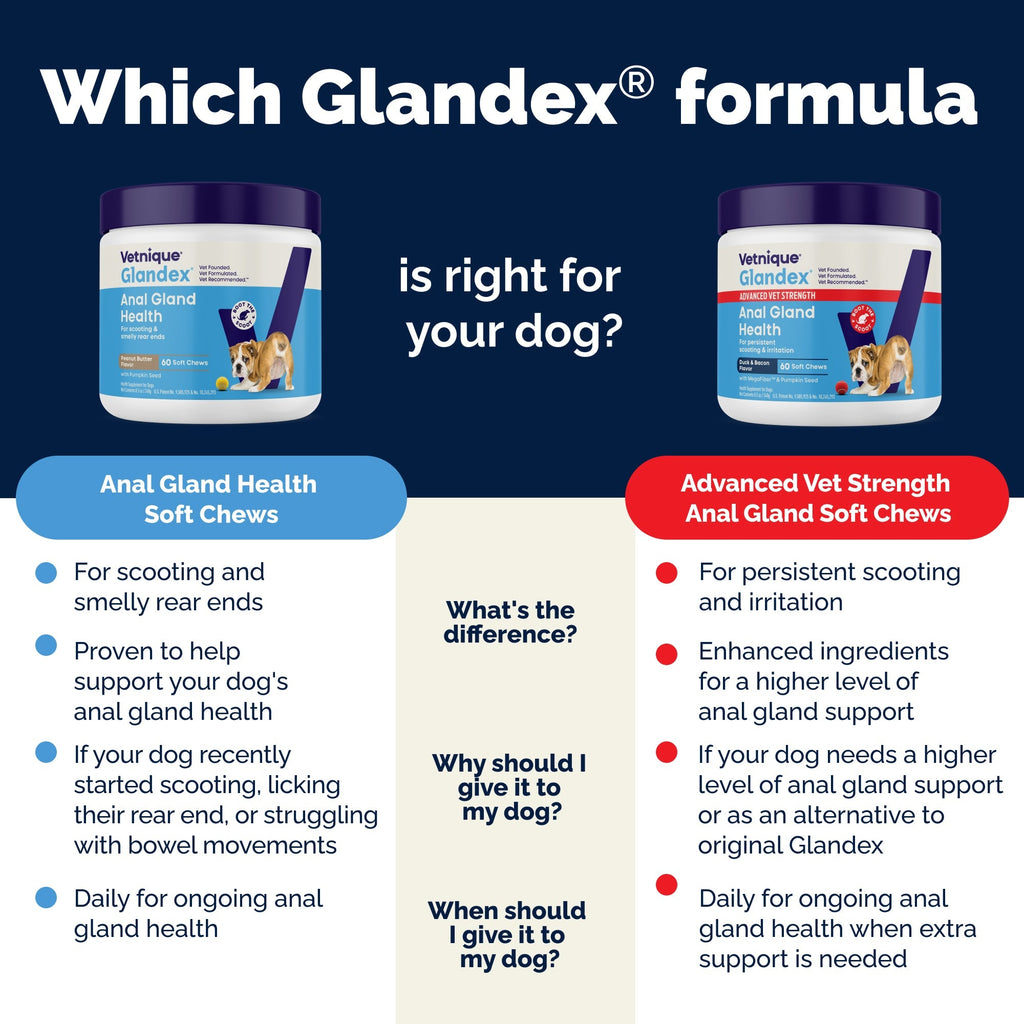 Glandex Anal Gland Support Peanut Butter Soft Chews for Dogs