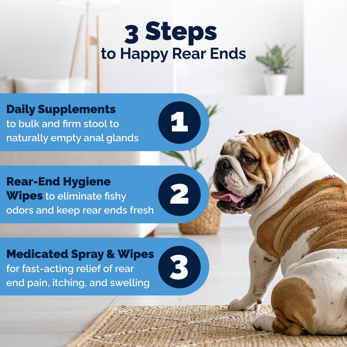 Glandex Anal Gland Support Peanut Butter Soft Chews for Dogs