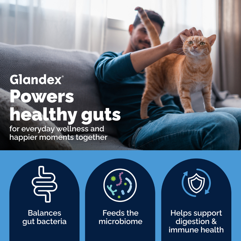 Glandex Daily Prebiotic & Probiotic Powder for Cats, Tuna Flavor, 4 oz