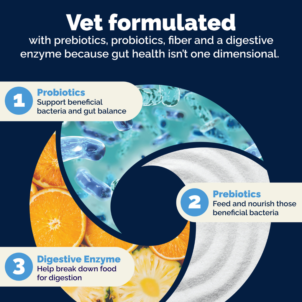 Glandex Daily Prebiotic & Probiotic Powder for Cats, Tuna Flavor, 4 oz