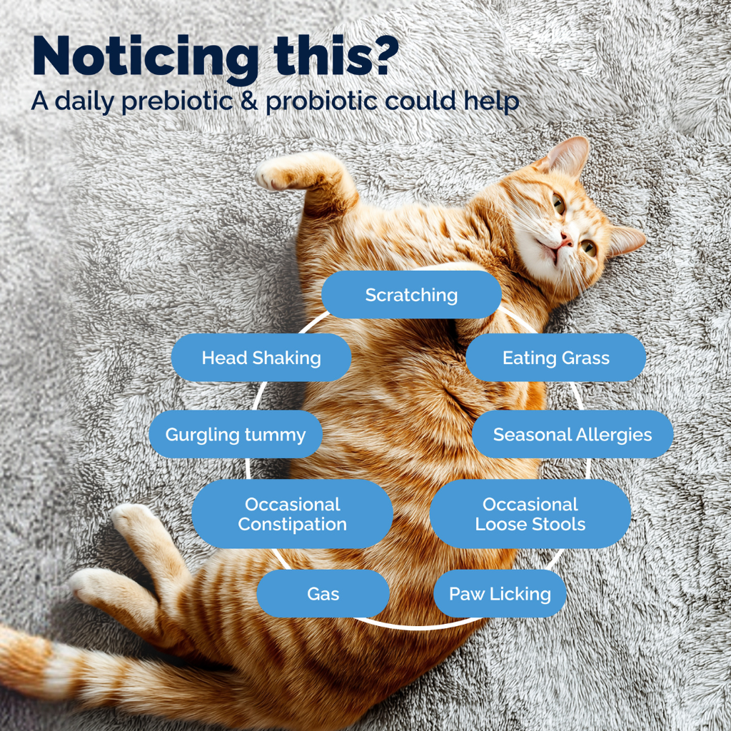 Glandex Daily Prebiotic & Probiotic Powder for Cats, Tuna Flavor, 4 oz