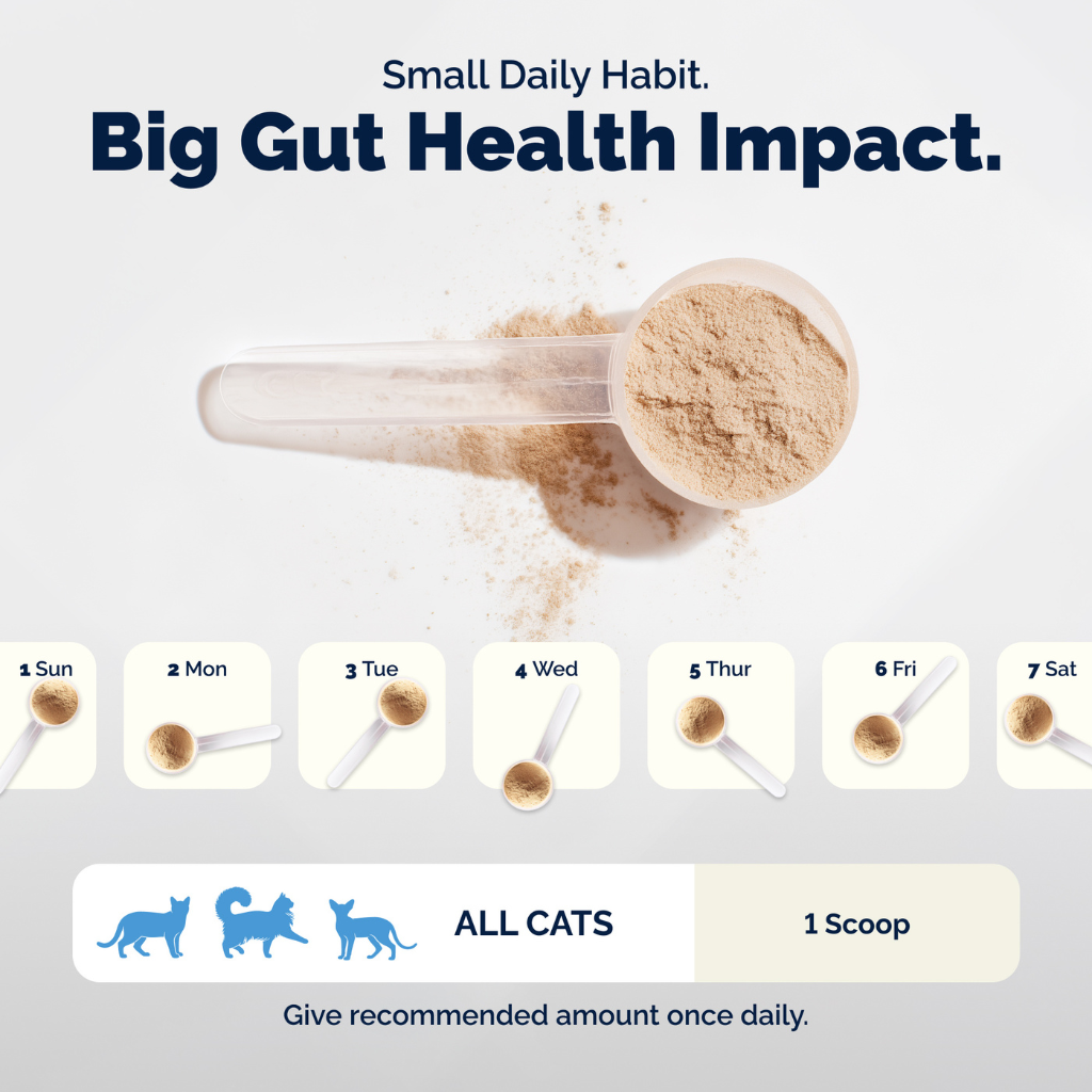 Glandex Daily Prebiotic & Probiotic Powder for Cats, Tuna Flavor, 4 oz