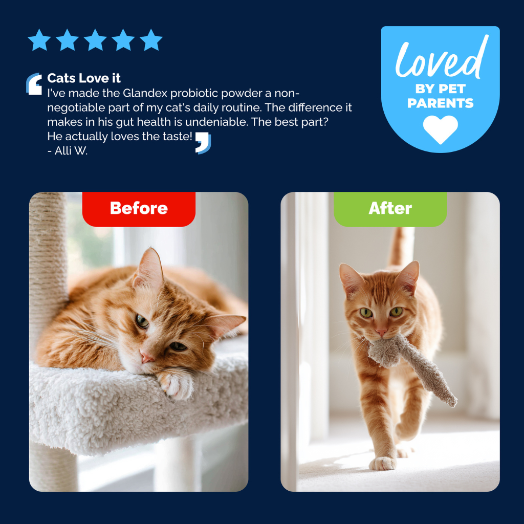 Glandex Daily Prebiotic & Probiotic Powder for Cats, Tuna Flavor, 4 oz