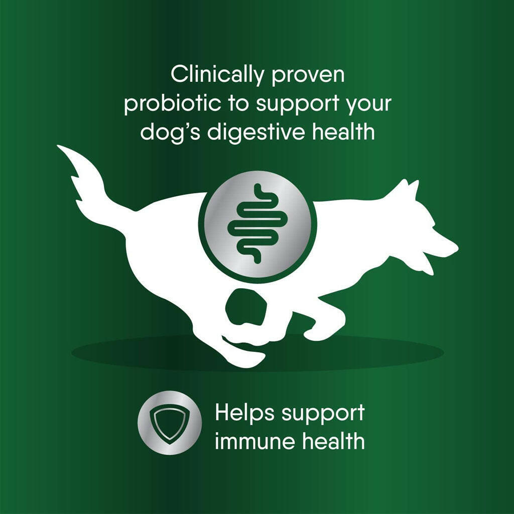 Greenies Digestive Probiotic Clinical Strength Supplements for Dogs