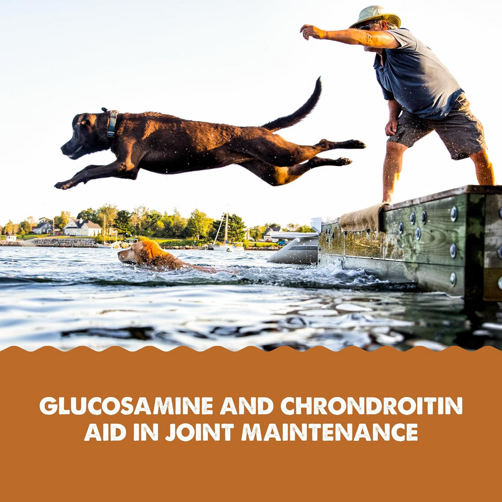 Grizzly Joint Aid  Supplement For Dogs & Cats