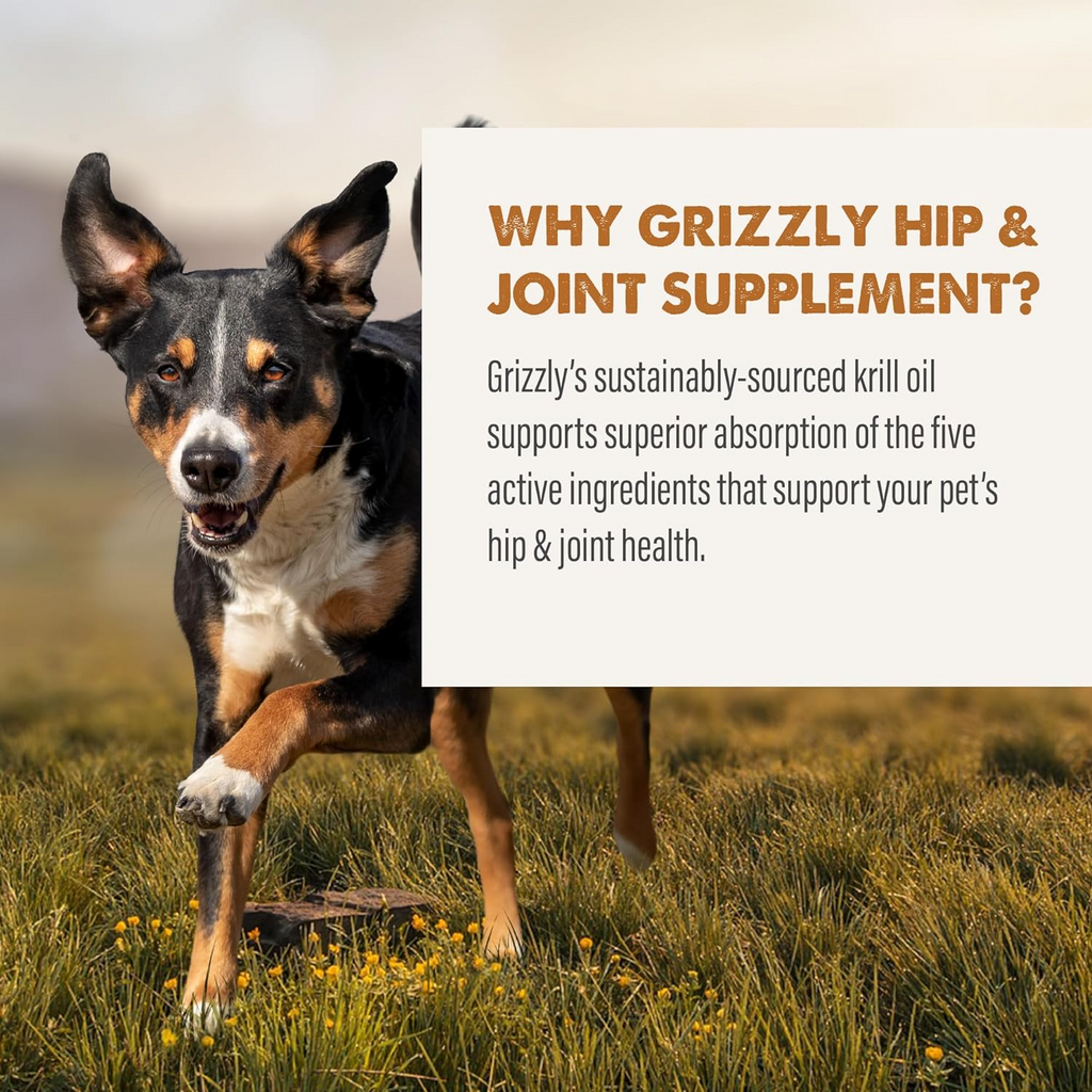 Grizzly Joint Aid  Supplement For Dogs & Cats