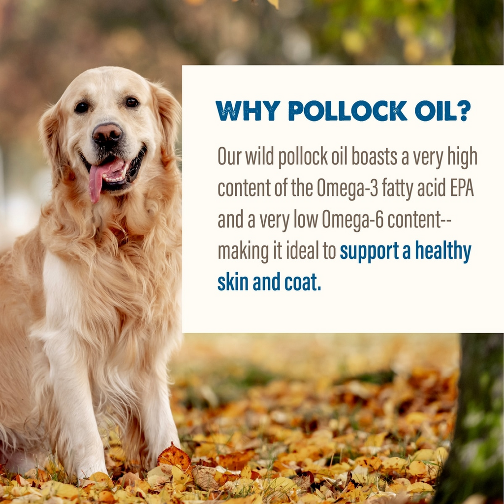 Grizzly Wild Alaskan Pollock Oil Supplement for Dogs & Cats