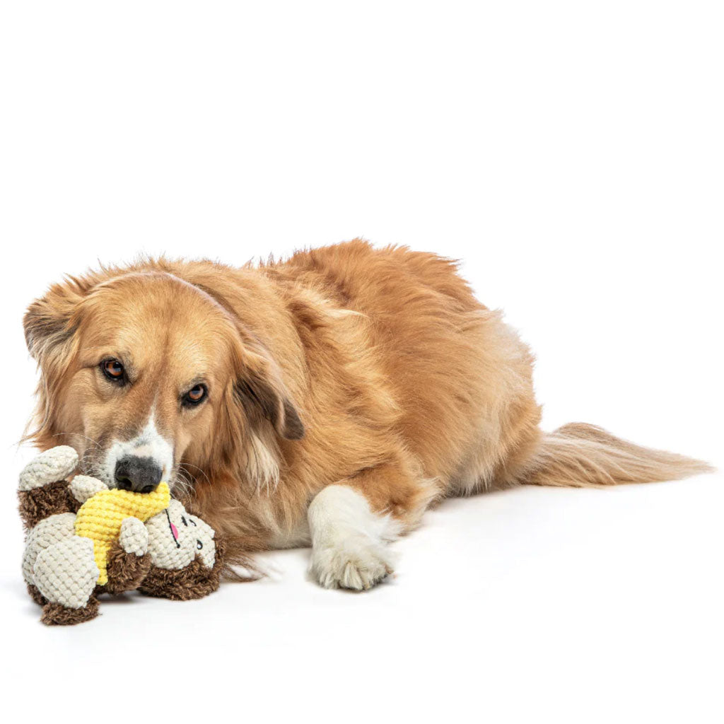 GURU Loveys Dog Toy, Monkey, Medium