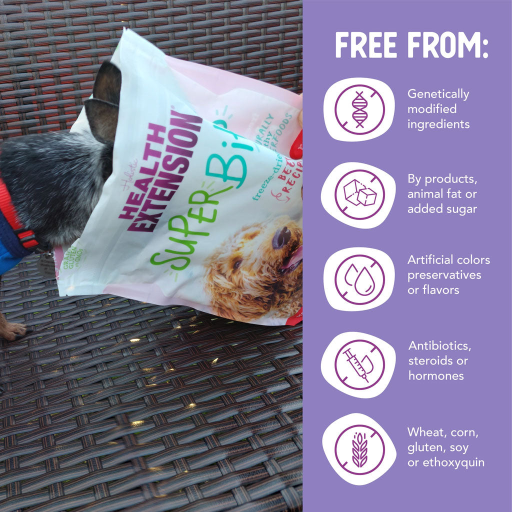 Health Extension Freeze-Dried Raw Mixer-Topper-Treat Beef Recipe for Dogs