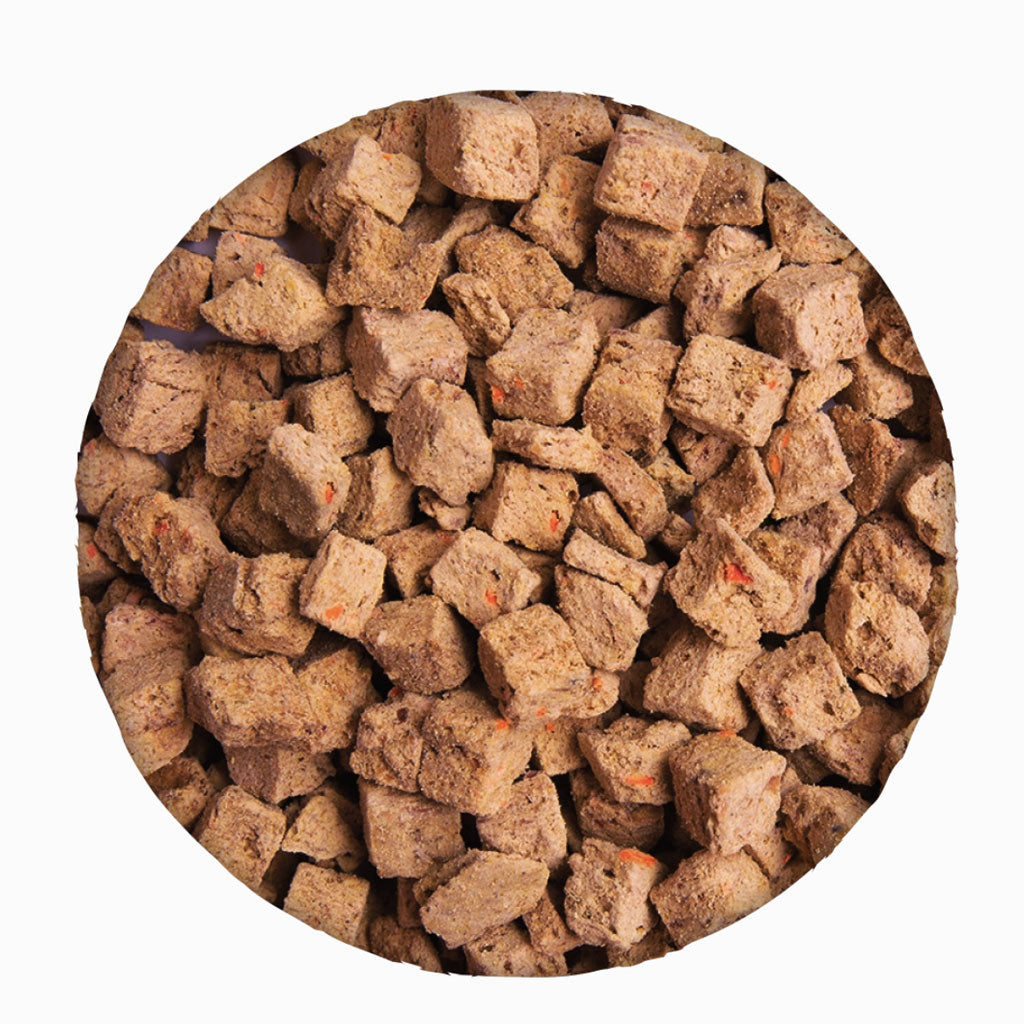 Health Extension Freeze-Dried Raw Mixer-Topper-Treat Beef Recipe for Dogs