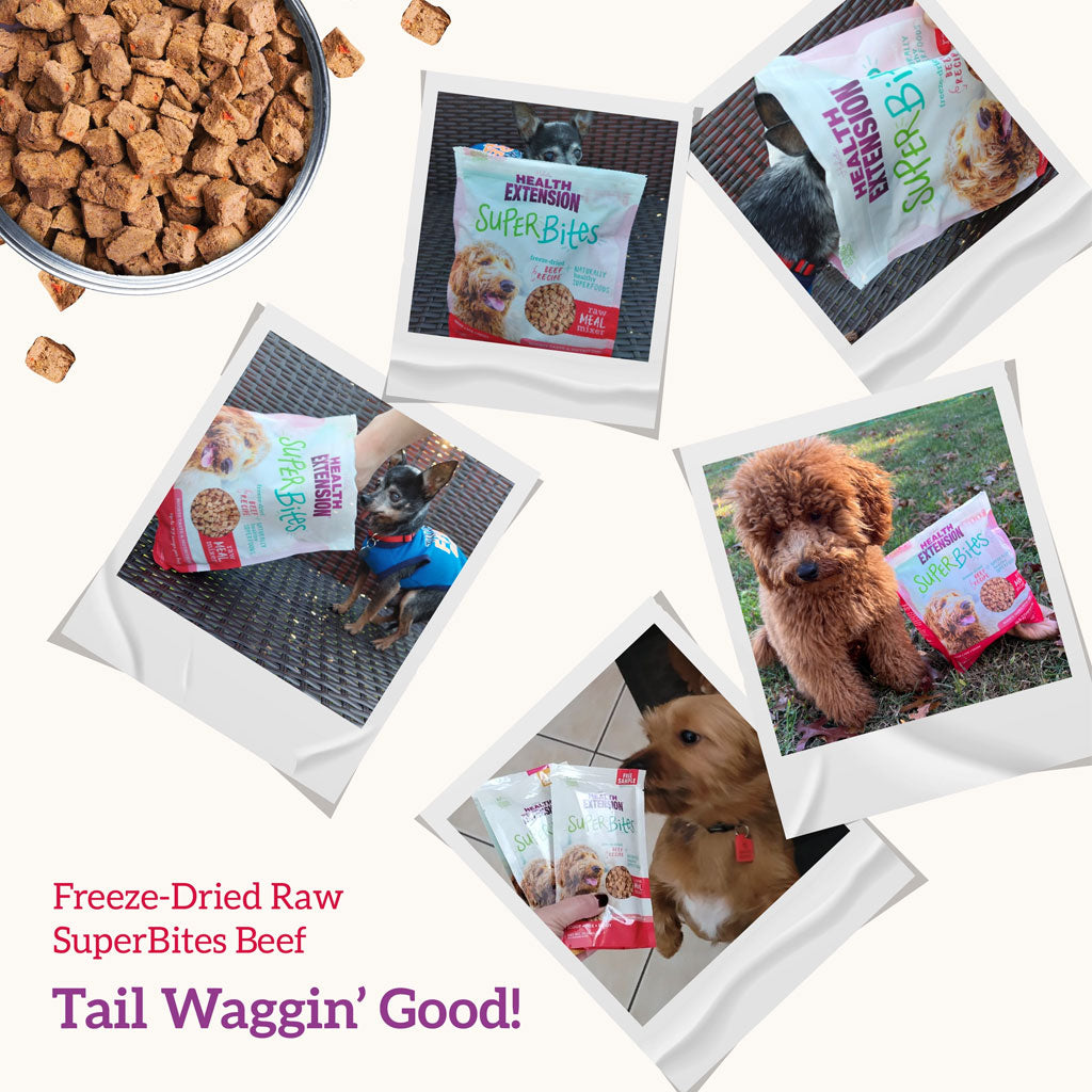 Health Extension Freeze-Dried Raw Mixer-Topper-Treat Beef Recipe for Dogs