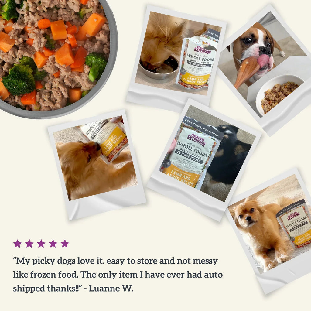 Health Extension Gently Cooked in Broth Lamb & Carrot Recipe Pouches For Dogs, 9-oz pouch