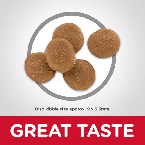 Hill's Science Diet Adult Sensitive Stomach & Sensitive Skin Chicken & Rice Recipe Dry Cat Food