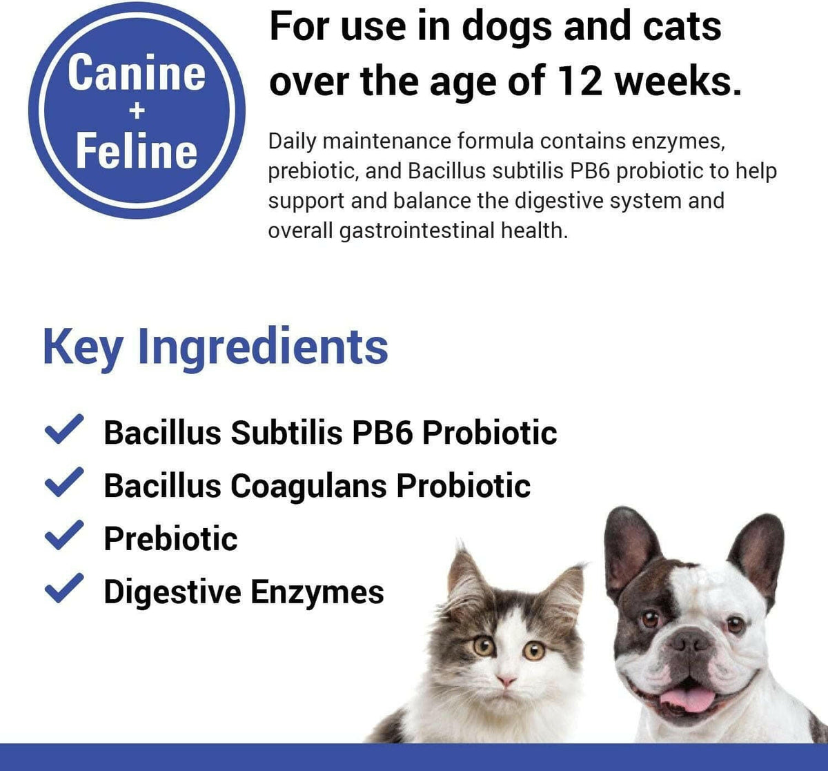 Vet Classics Protegrity EZ Probiotics & Enzymes Powder for Dogs & Cats