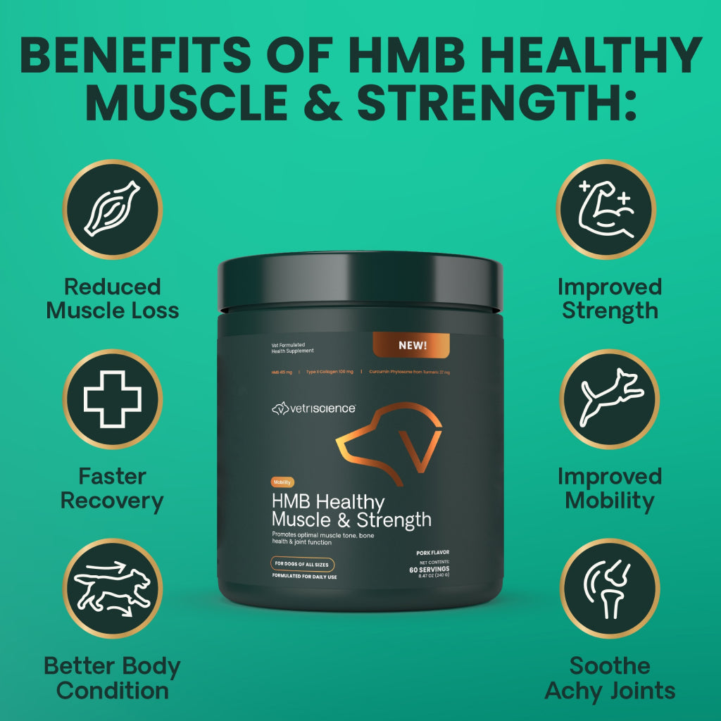 HMB Healthy Muscle & Strength Granules for Dogs