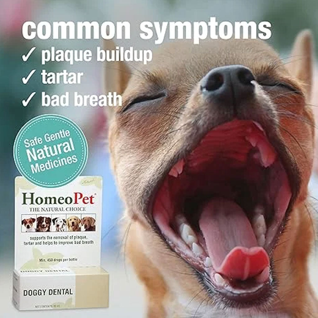 HomeoPet Doggy Dental, 15-ml