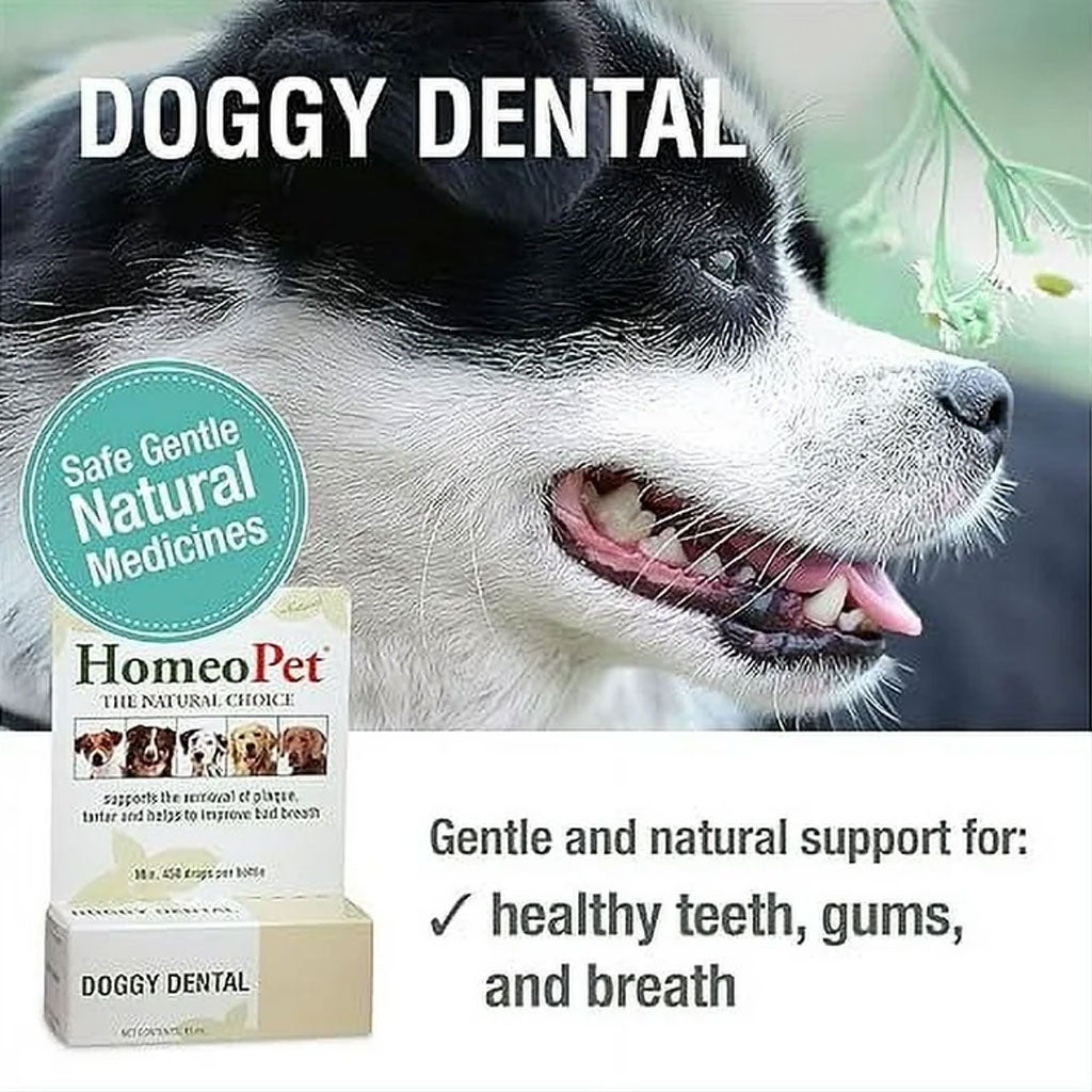 HomeoPet Doggy Dental, 15-ml
