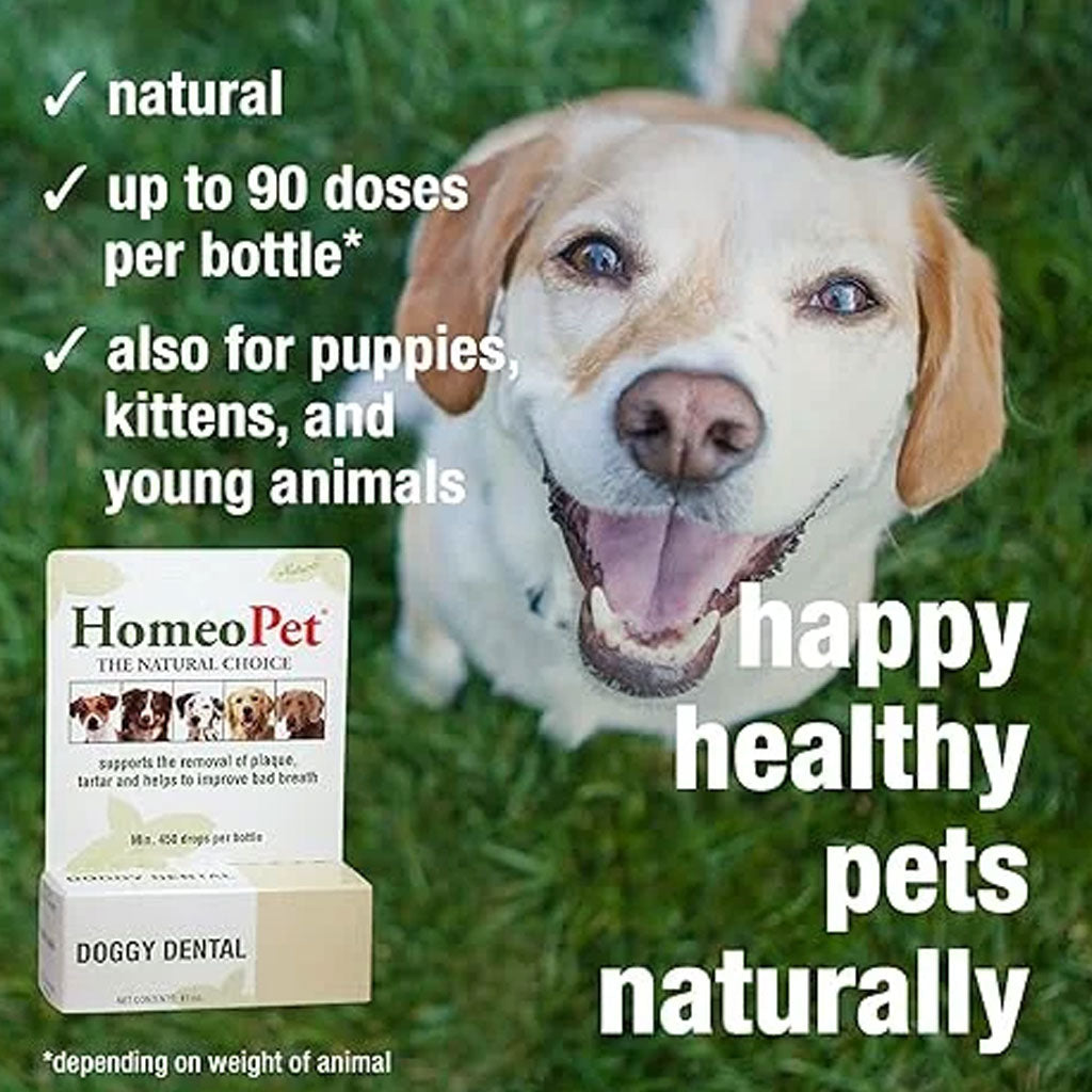 HomeoPet Doggy Dental, 15-ml