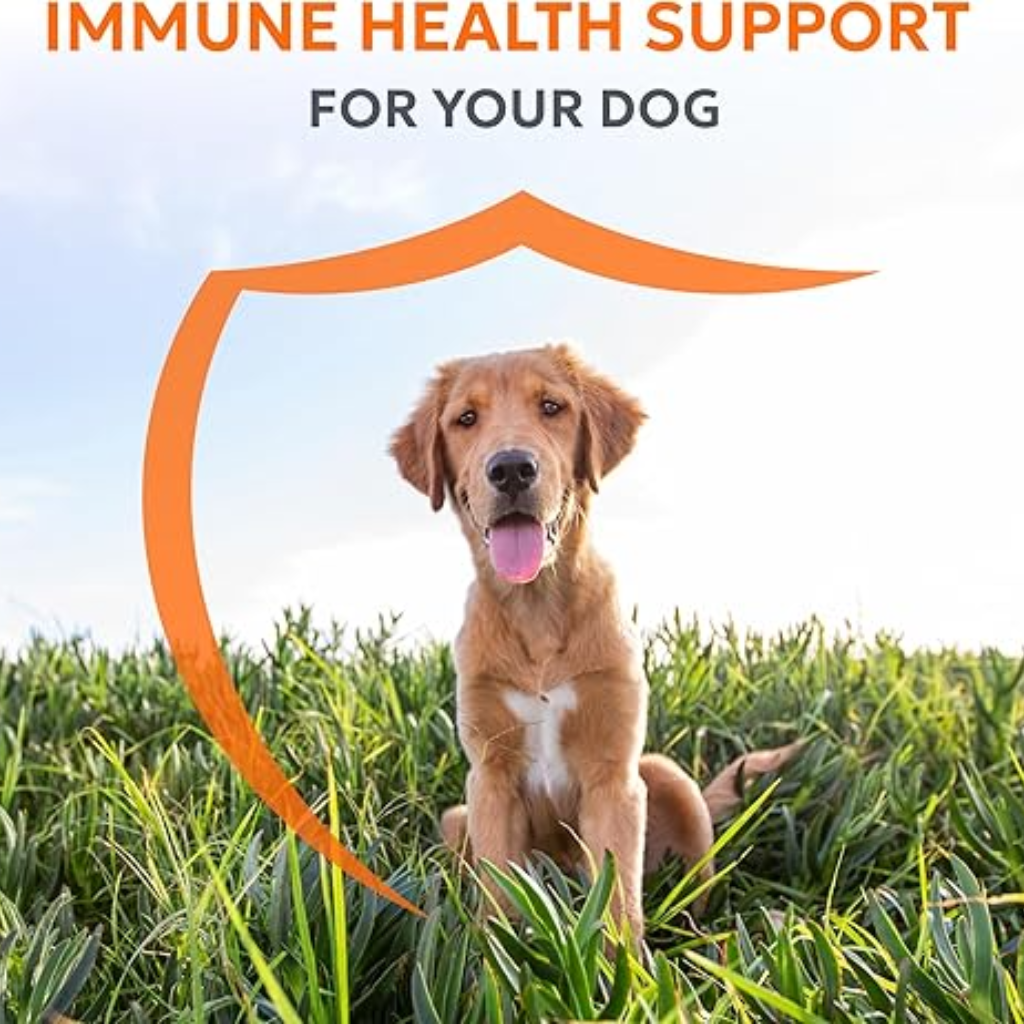 Imuquin for Dogs (30 chewable tablets)
