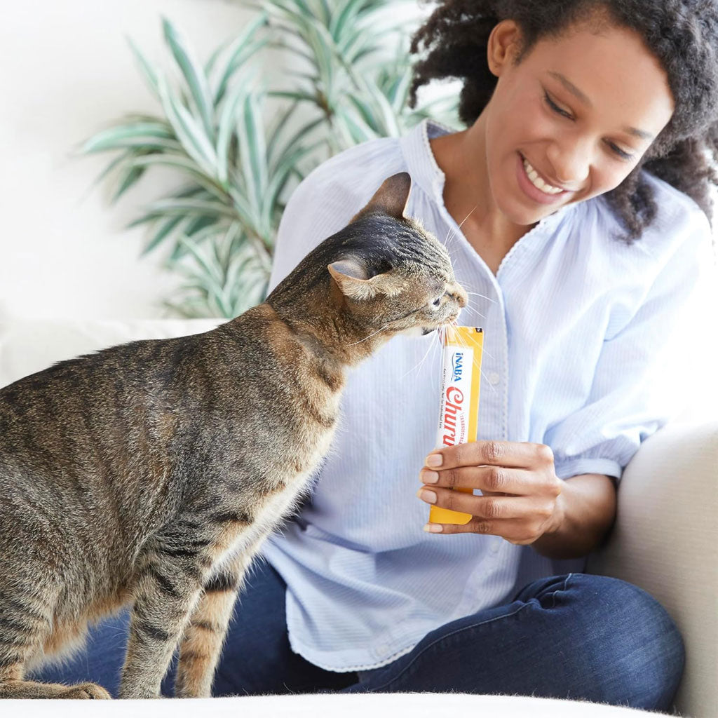 Inaba Churu Chicken & Seafood Variety Pack Grain-Free Lickable Treat for Cats, 50 count