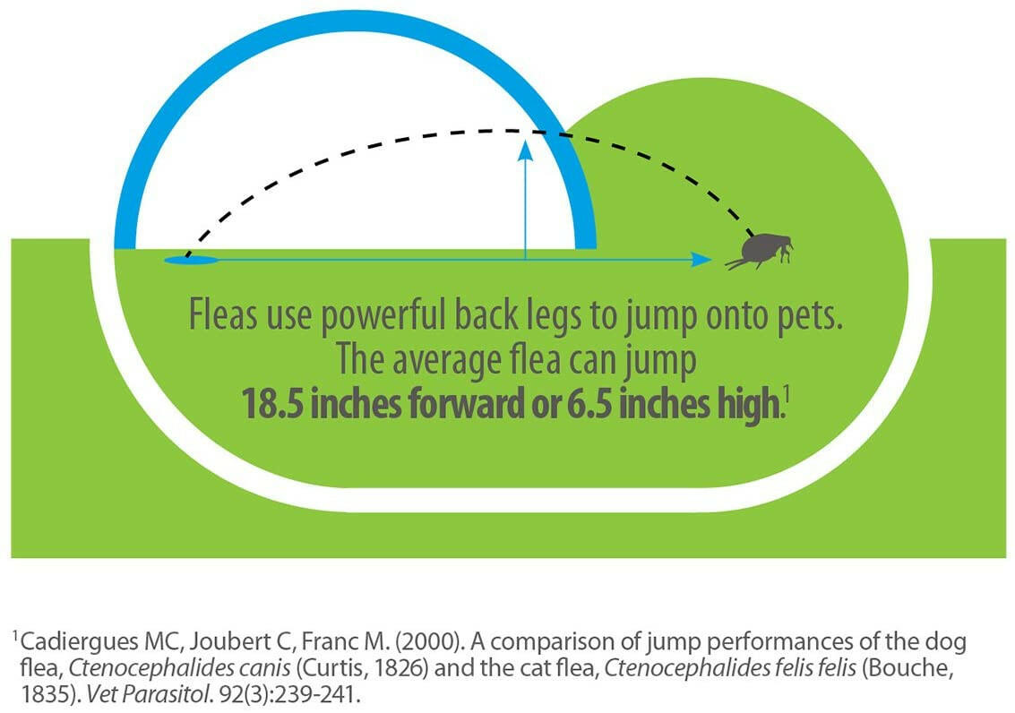 Advantage Flea & Tick Treatment Shampoo for Dogs & Puppies