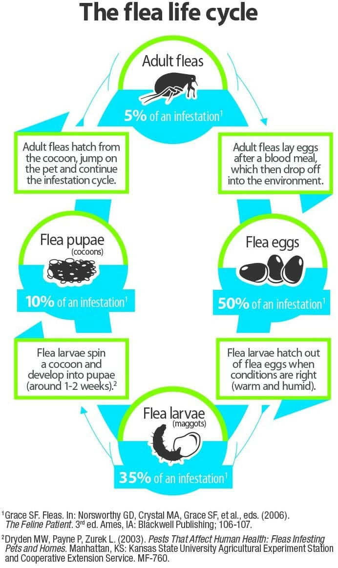 Advantage Flea & Tick Treatment Shampoo for Dogs & Puppies