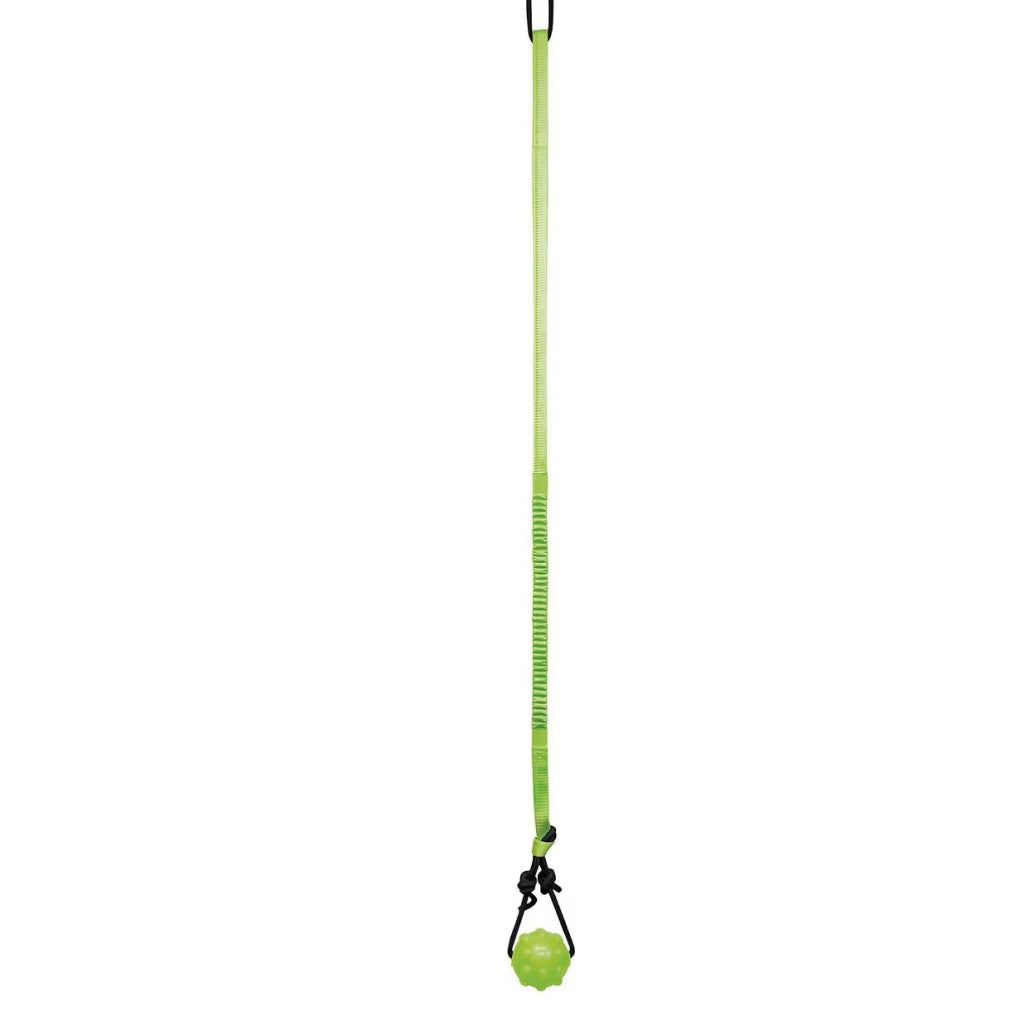 Jolly Pet Tree Tugger Toy For Dogs