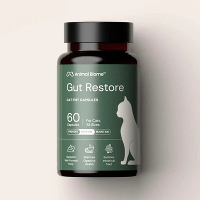 Kitty Biome Gut Restore Supplement FMT Capsules for Cats