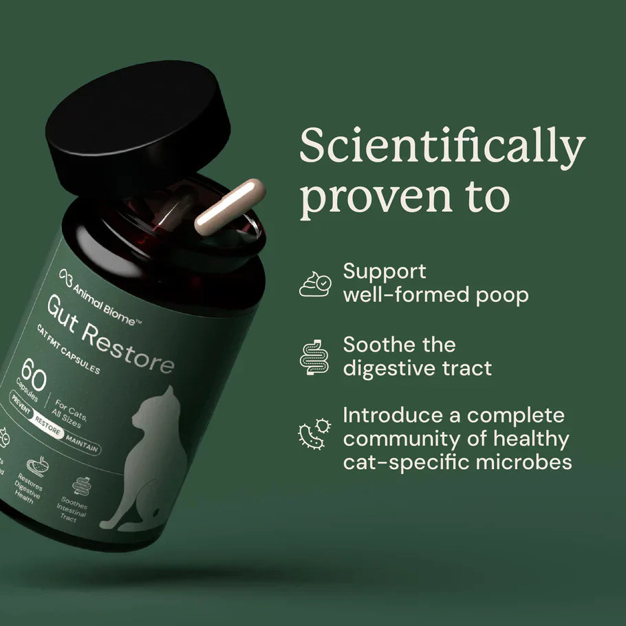 Kitty Biome Gut Restore Supplement FMT Capsules for Cats