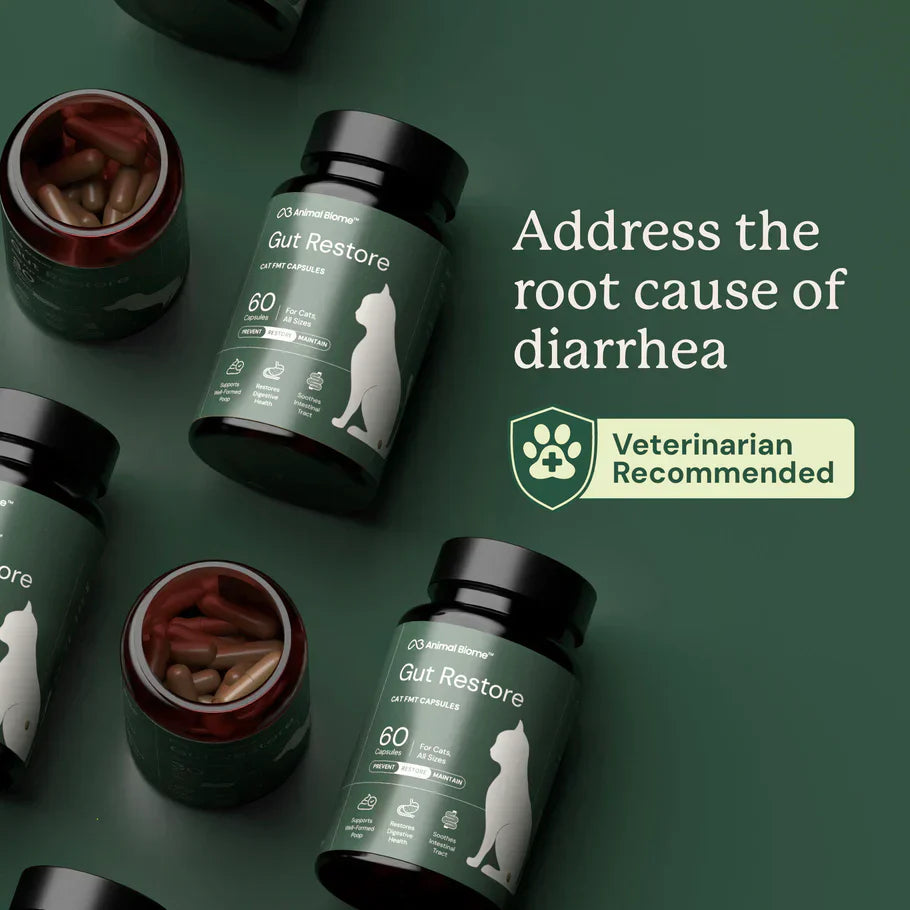 Kitty Biome Gut Restore Supplement FMT Capsules for Cats