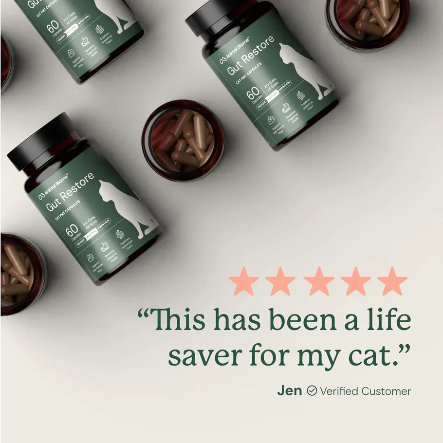 Kitty Biome Gut Restore Supplement FMT Capsules for Cats