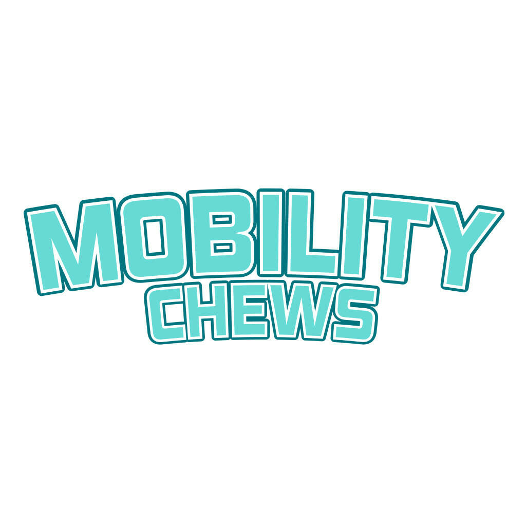 Kong Mobility Chews for Dogs