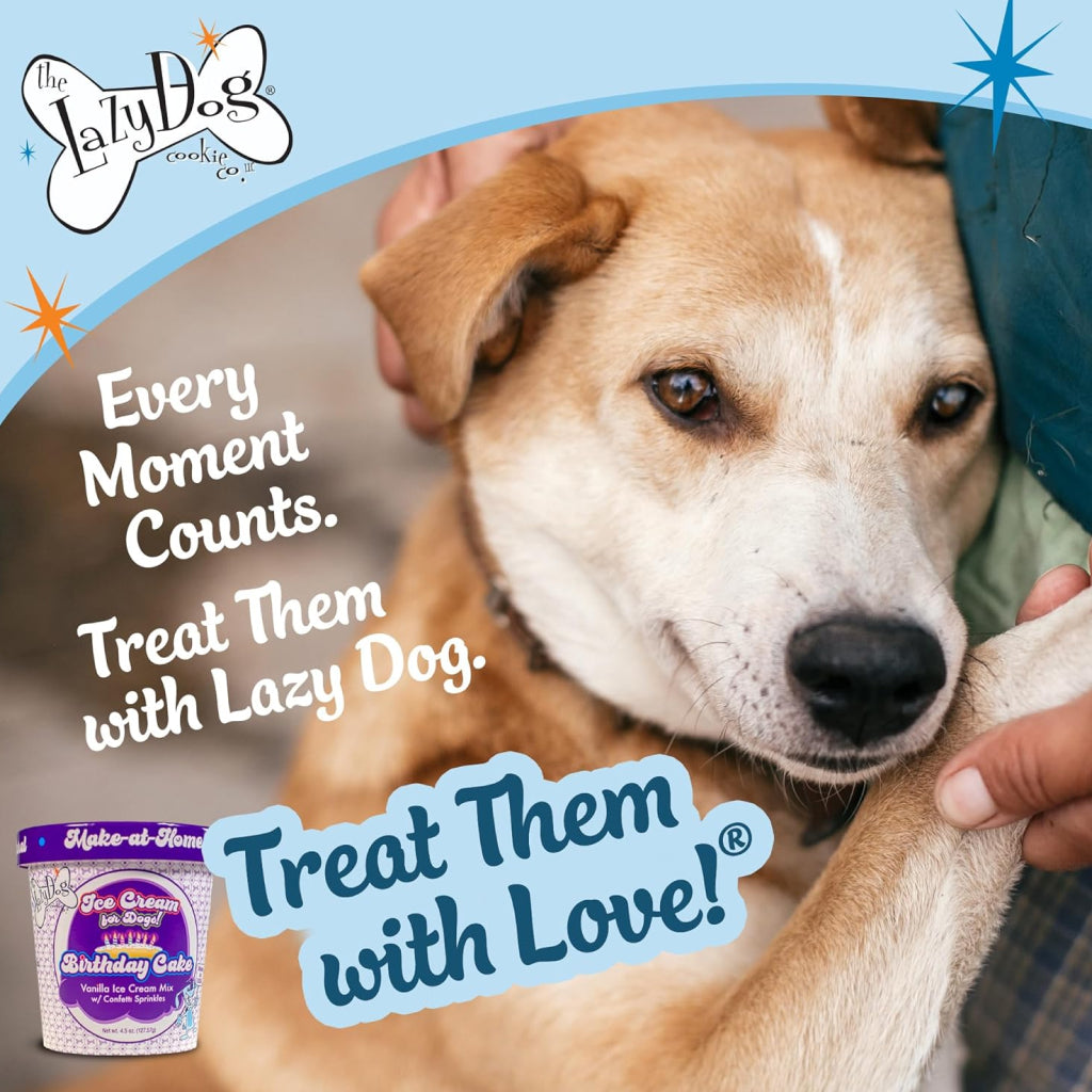 Lazy Dog Make at Home Ice Cream Mix Birthday Cake Flavor Treats For Dogs (4.5 oz)