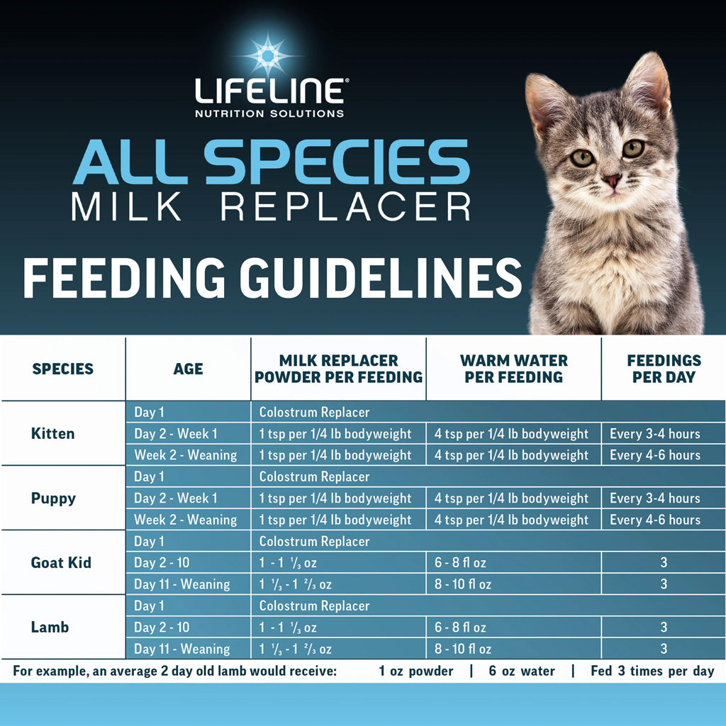 Lifeline All Species Milk Replacer