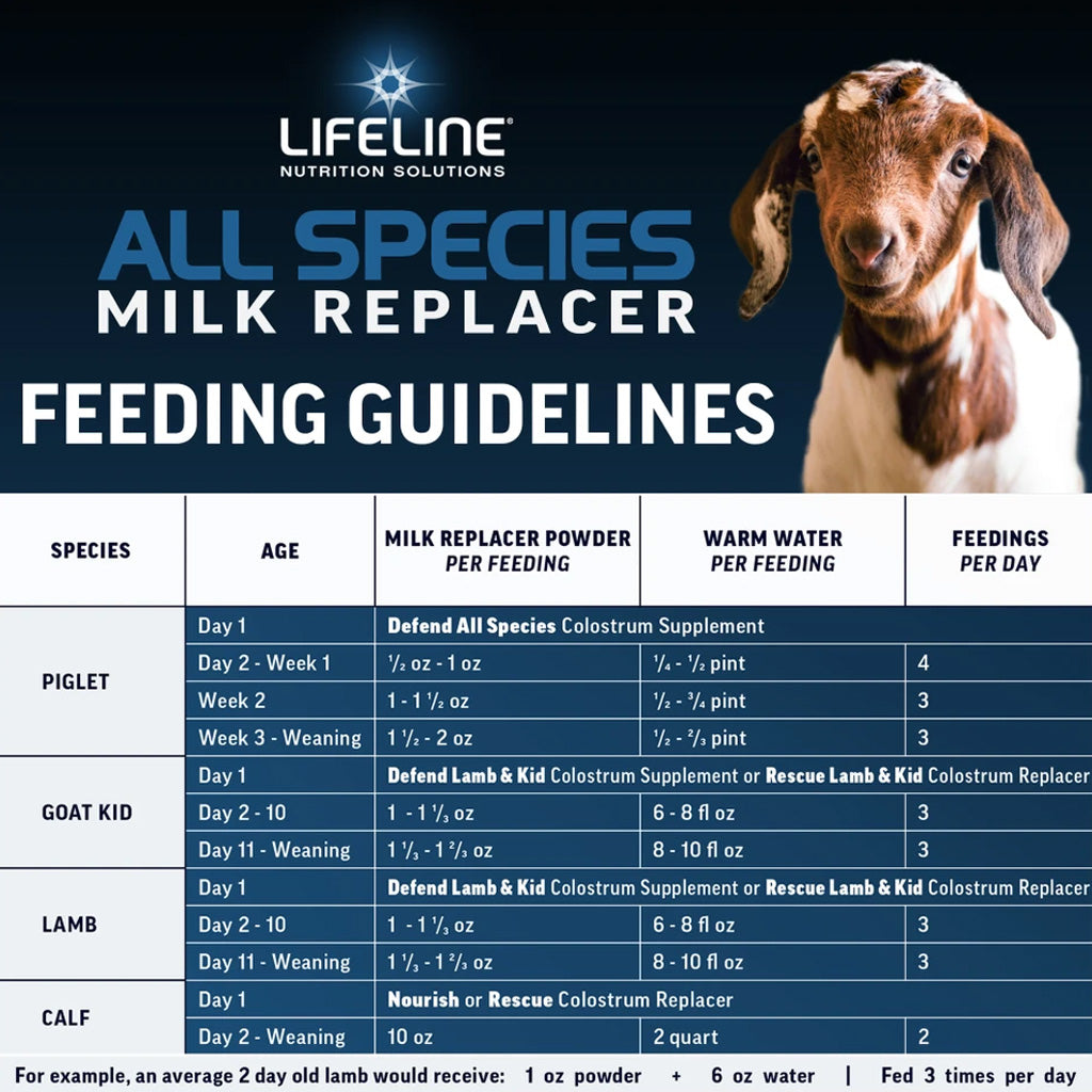 Lifeline All Species Milk Replacer