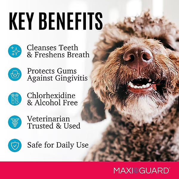Maxi/Guard Oral Cleansing Gel, 4-oz