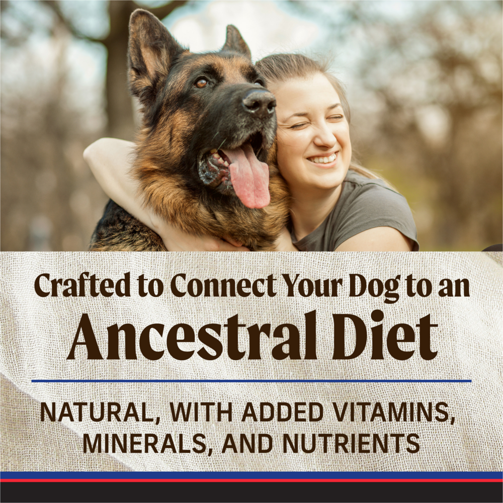 Merrick Backcountry Grain Free Dry Adult Dog Food, Kibble With Freeze Dried Raw Pieces Heros Banquet Recipe, 20-lb