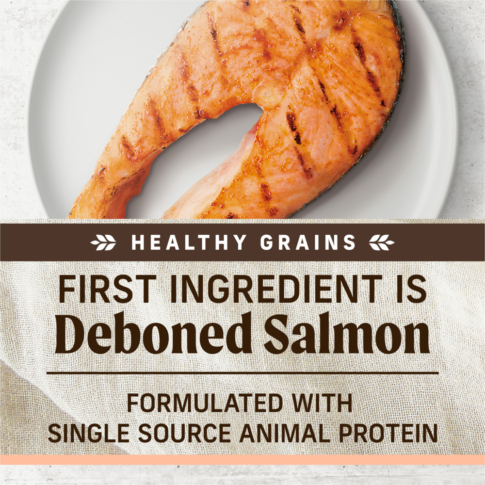 Merrick Limited Ingredient Diet Grain Free Real Salmon & Sweet Potato Recipe Dry Dog Food, 22-lb