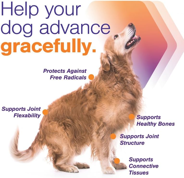 MovoFlex ADVANCED Joint Support for Small Dogs (60 soft chews)
