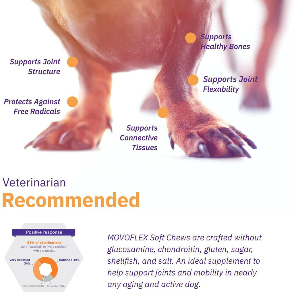 MovoFlex Joint Support for Medium Dogs (60 soft chews)