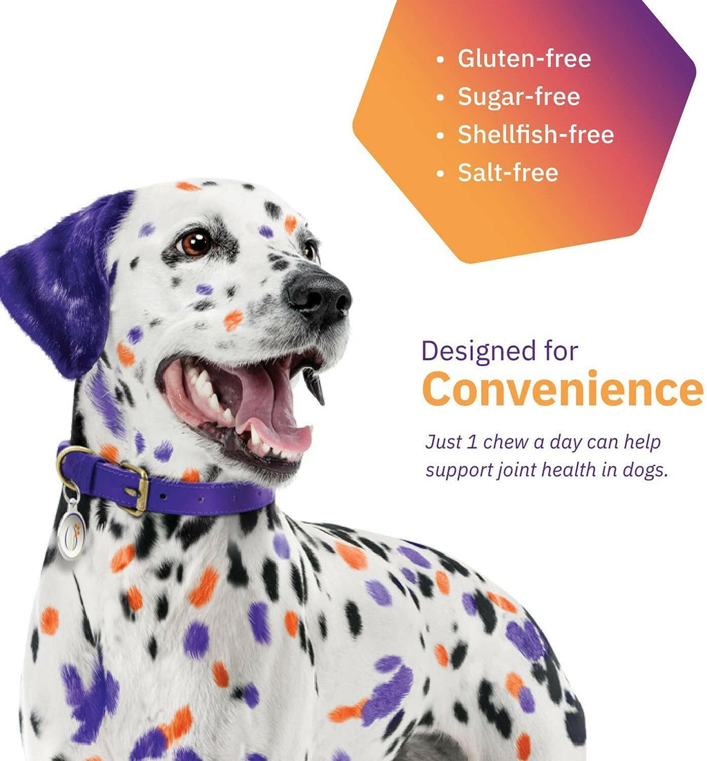 MovoFlex Joint Support for Medium Dogs (60 soft chews)