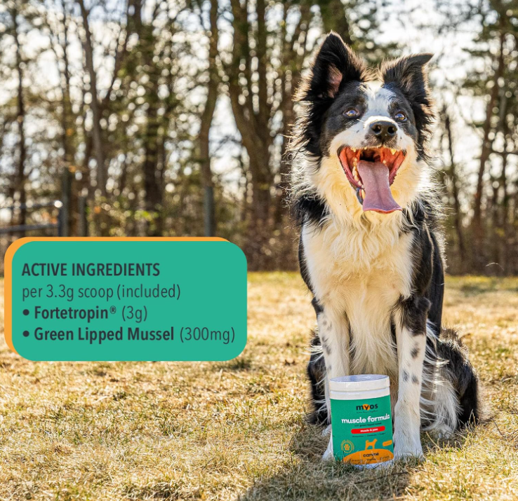 MYOS Canine Muscle & Joint Formula with Green Lipid Mussel