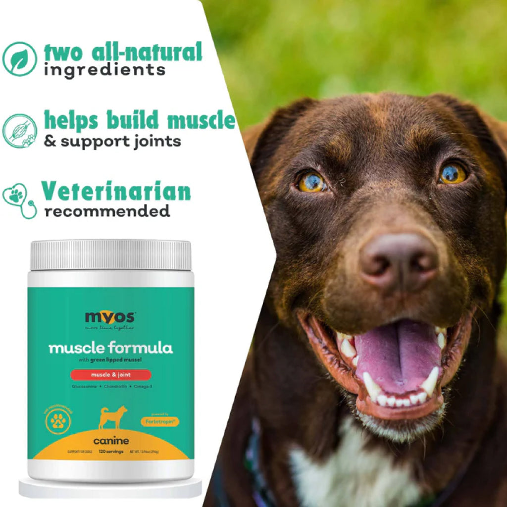 MYOS Canine Muscle & Joint Formula with Green Lipid Mussel