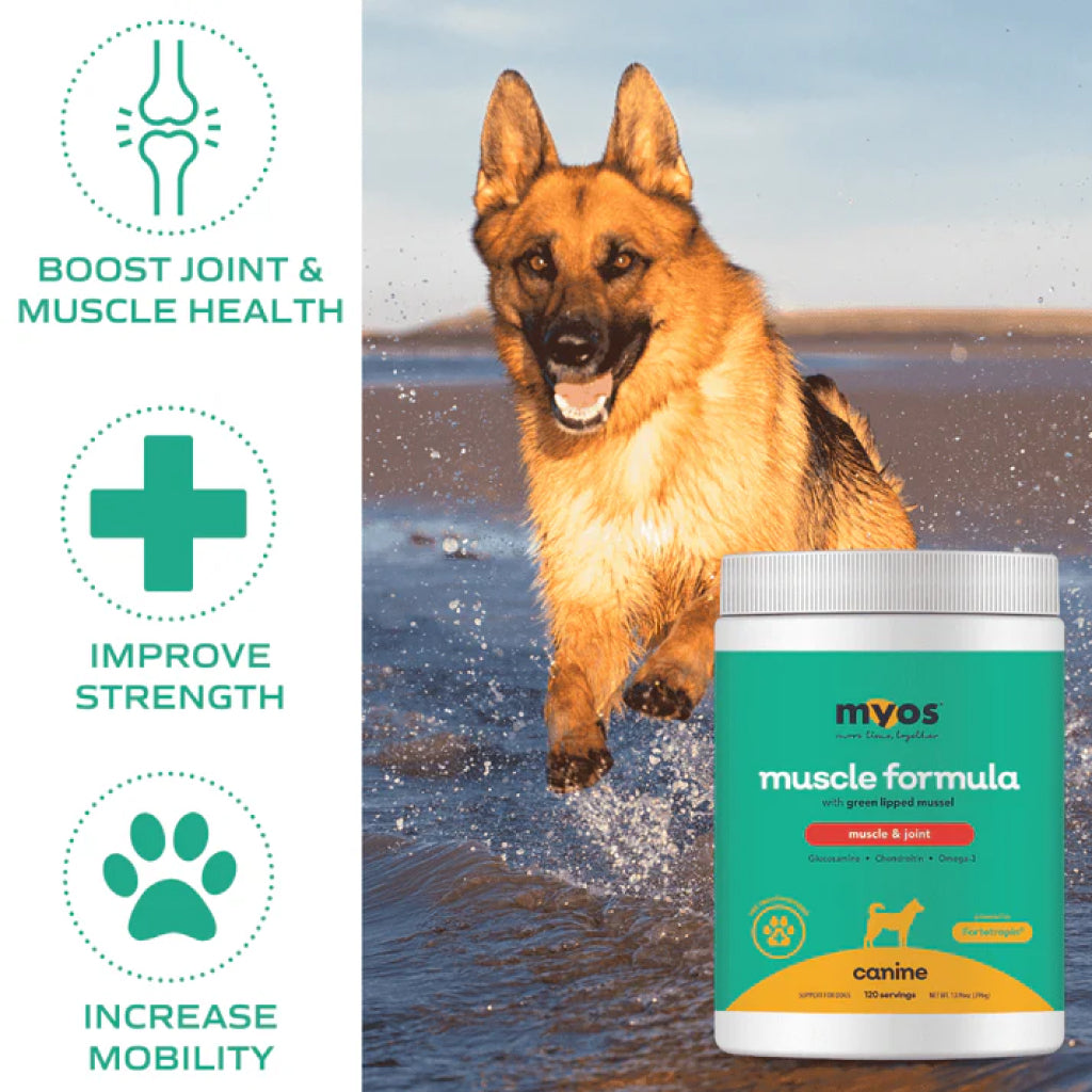 MYOS Canine Muscle & Joint Formula with Green Lipid Mussel