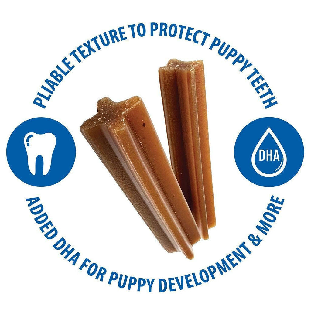 N-Bone Jumbo Puppy Teething Sticks Pumpkin Flavor Dog Treats, 7 count