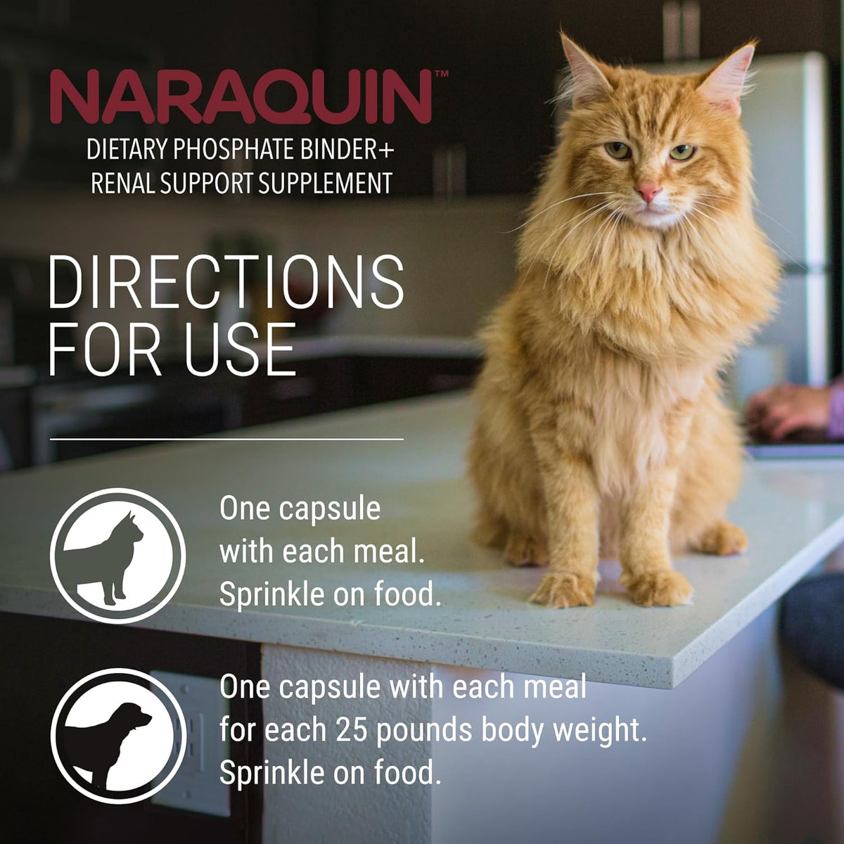 Naraquin Dietary Phosphate Binder+Renal Support (60 capsules)