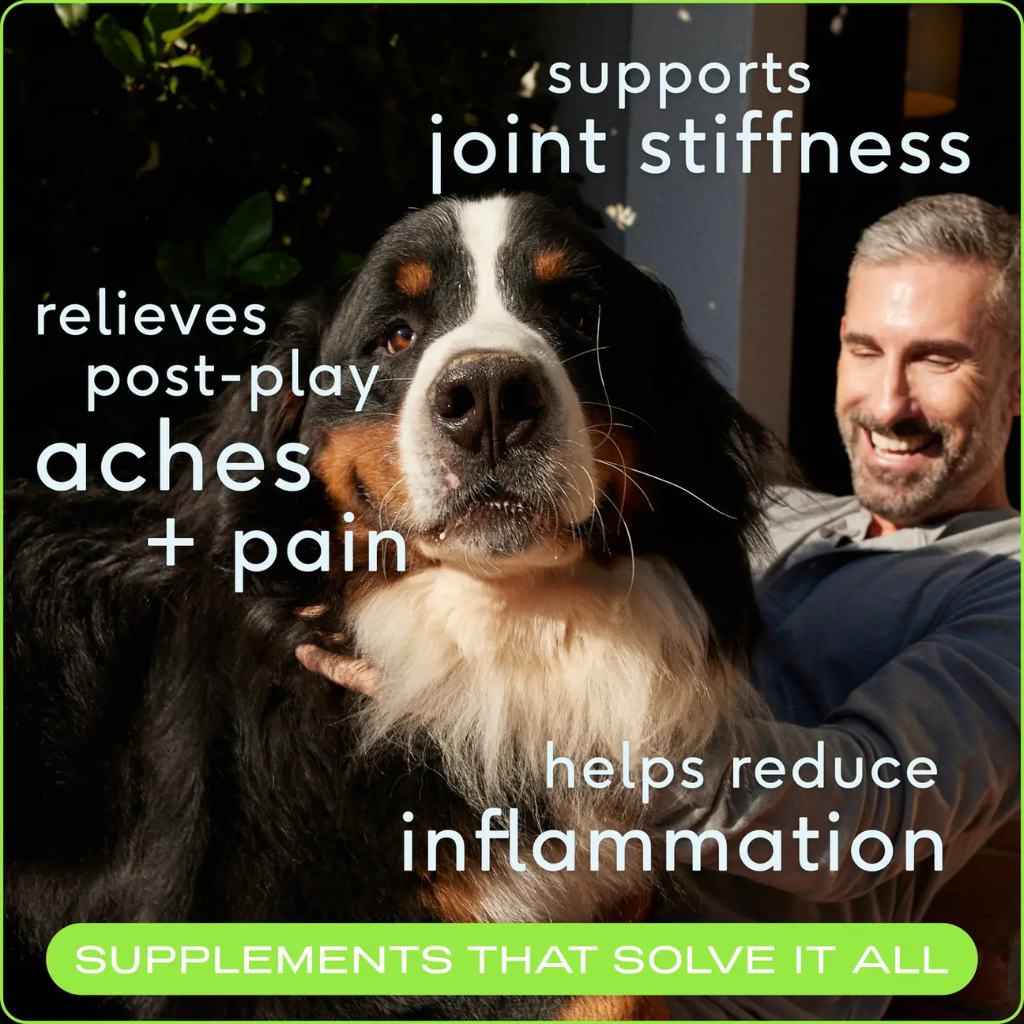 Native Pet Hip & Joint Inflammatory Care for Dogs