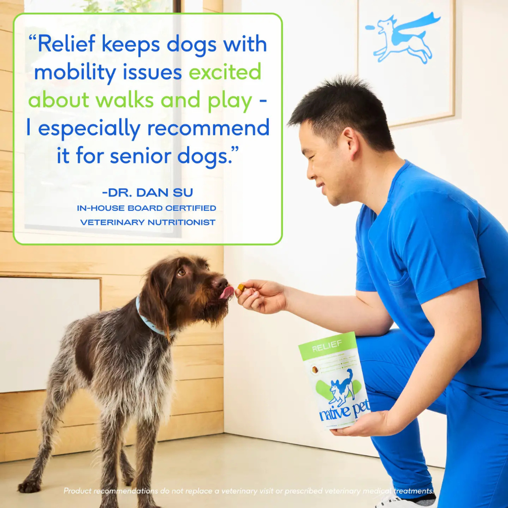 Native Pet Hip & Joint Inflammatory Care for Dogs
