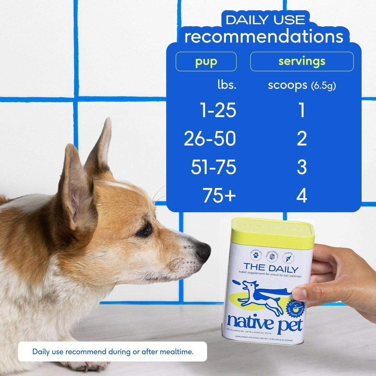 Native Pet The Daily Powder Supplement 11-in-1 Multivitamins for Dogs