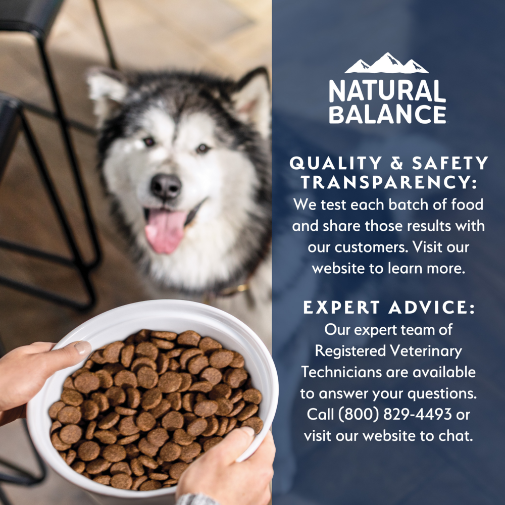 Natural Balance Health Protection Dry Dog Food, Salmon, Brown Rice & Pumpkin Recipe